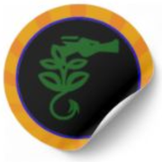 Logo CSI